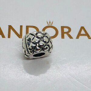 ✨🔥Pandora Studded Clip Charm